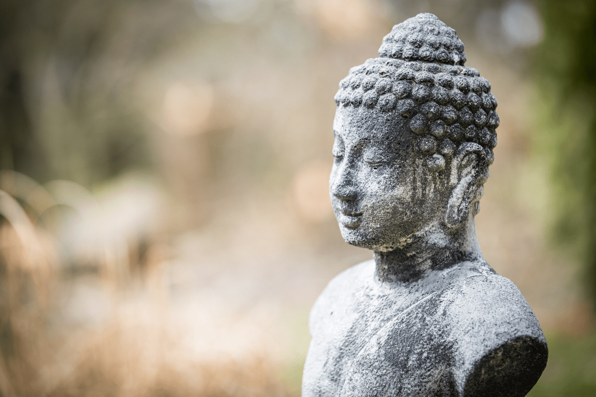 Buddha Meditation Event