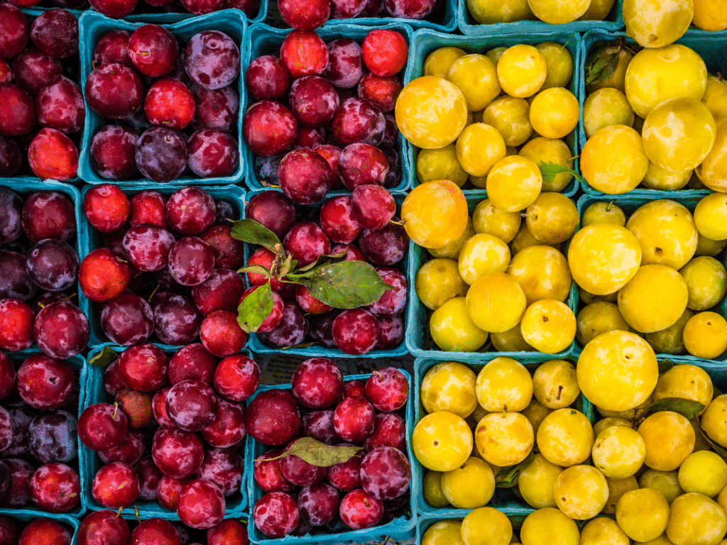 New Farmers Market Lands in Point Loma LocallyWell San Diego