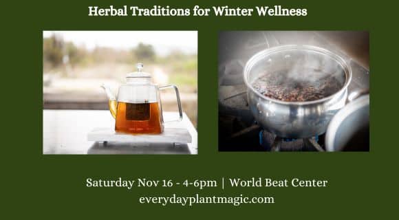 Herbal Traditions for Winter Wellness