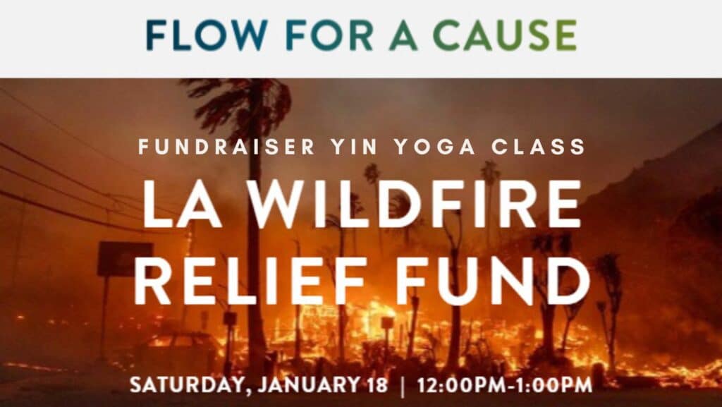 Flow for a Cause: LA Wildfire Relief Fund