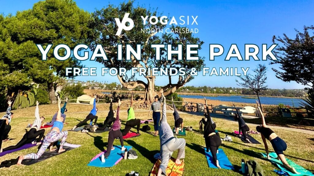 Free Yoga in the Park